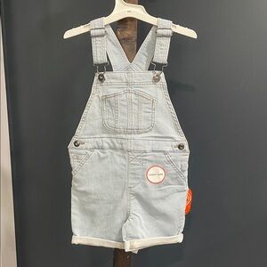 Striped Denim Overalls